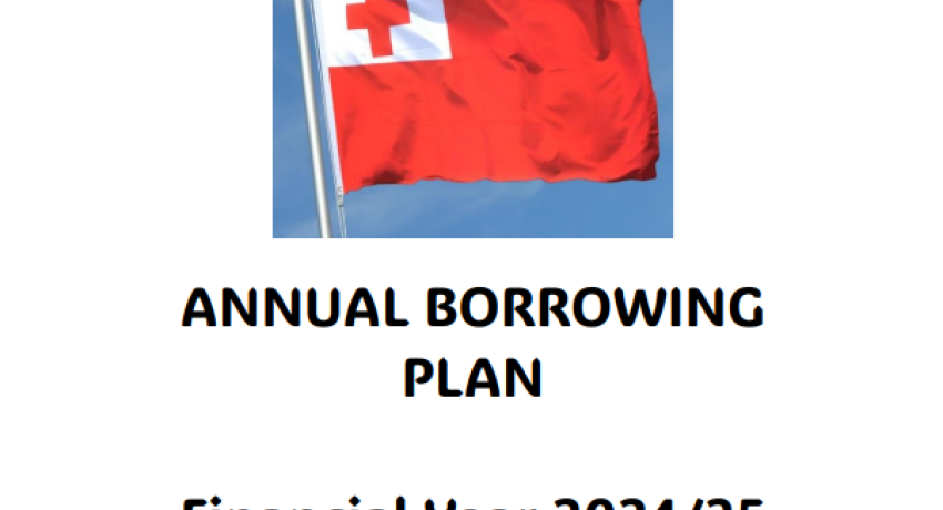 Annual Borrowing Plan